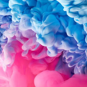 Meet your Posher, Karsyn